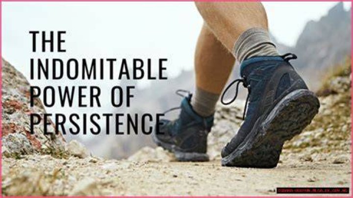 A Journey Of Versatility, Depth, And Enduring Success