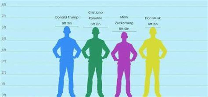 Demystifying His Height And Weight