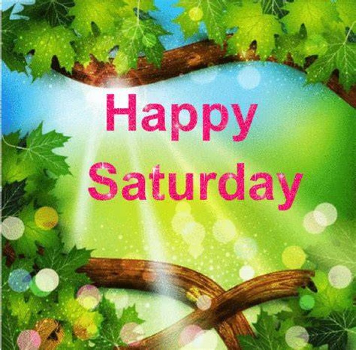 Happy Saturday Gif IceGif