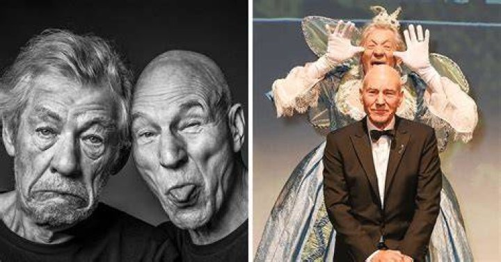 Ian Mckellen Patrick Stewart Bromance