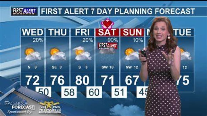 The wlsch. 7 meteorologist got engaged to her boyfriend on vacation in