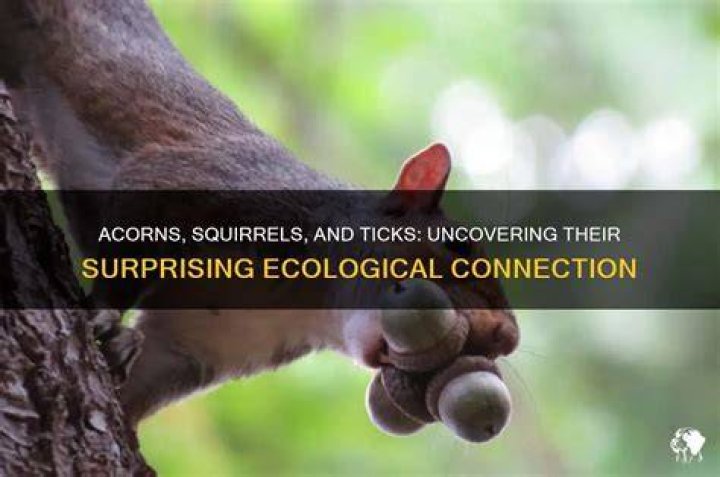 Uncovering Their Connection And Impact