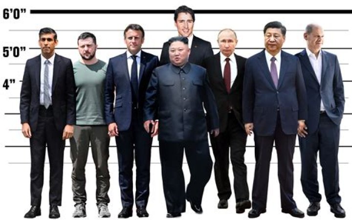 Zelensky Taille